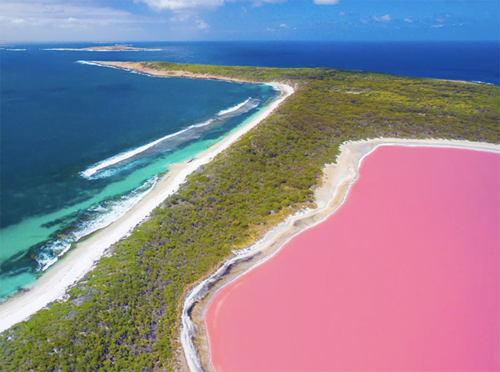 Lake Hillier: A Mesmerizing Pink Wonder Off the Coast of Australia