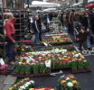 How Can Timing Enhance Your Experience at Columbia Road's Flower Market?